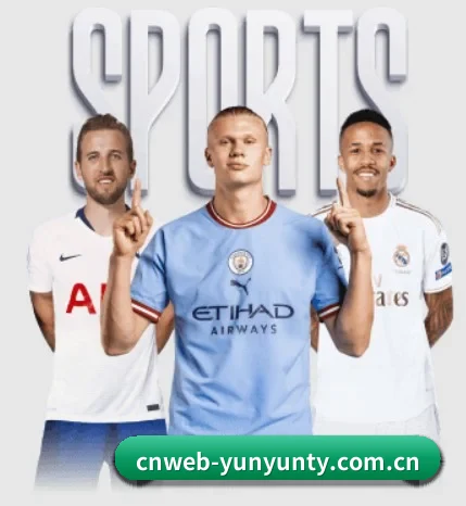cnweb-yunyunty.com.cn的方向 - 长期内容价值积累